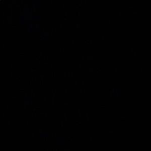 Meet your Posher, Bianca